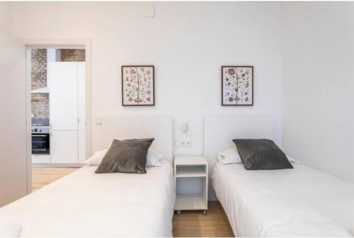 Appartement Super 2 Centro Ciudad *